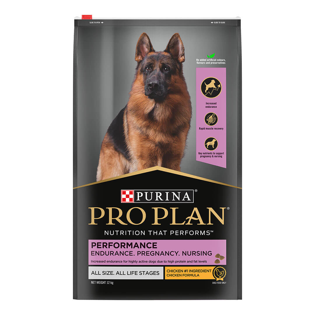 German shepherd purina hotsell