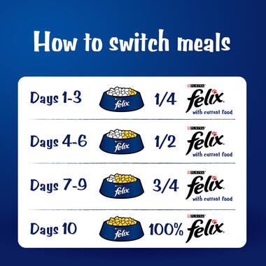 HowtoSwitchMeal