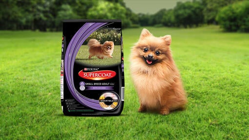 Purina supercoat dog food hot sale price