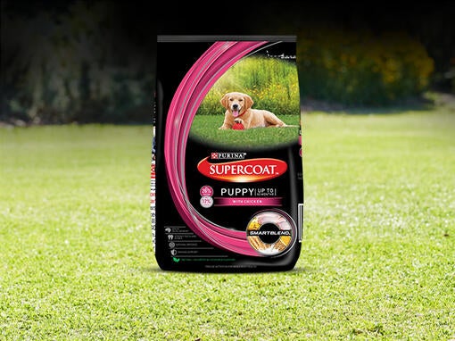 Purina dog food supercoat hotsell